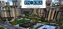 Endoraplus